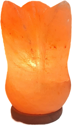 Salzlampe "Tulpe 1"
