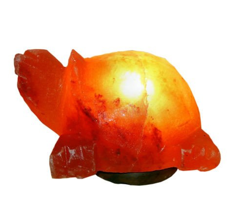 Salzlampe Schildkröte