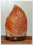 Salzlampe Blatt