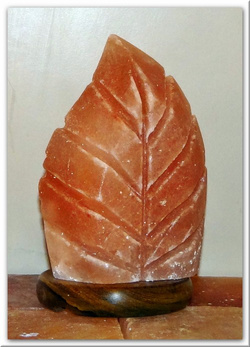 Salzlampe Blatt