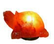 SALZLAMPE SCHILDKRÖTE