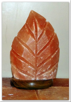 Salzlampe Blatt