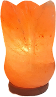 Salzlampe "Tulpe 1"