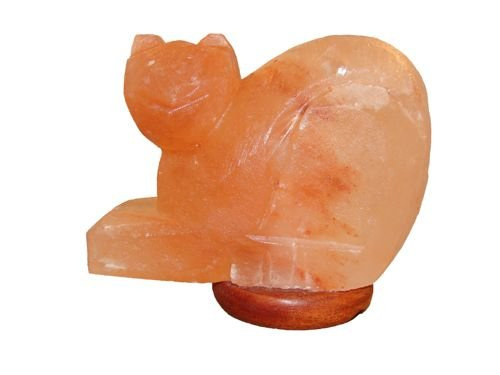 Salzlampe Katze 2