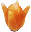 Salzlampe "Tulpe 1"