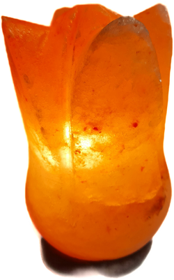 Salzlampe "Tulpe 1"