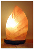 Salzlampe Blatt